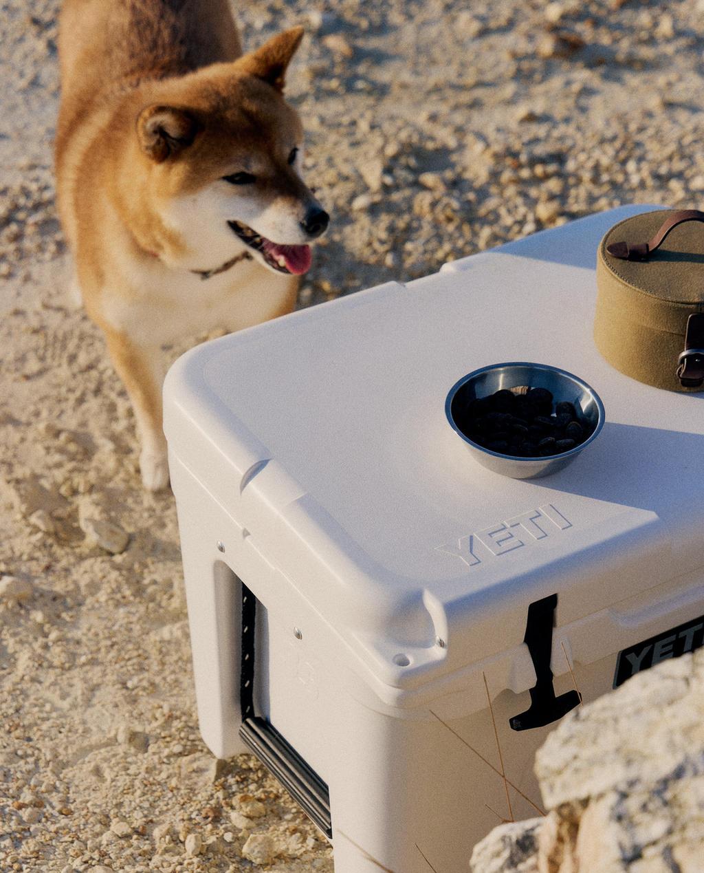 PET FOOD BOWLS AND YETI COOLER  PET FOOD BOWLS WITH CASE