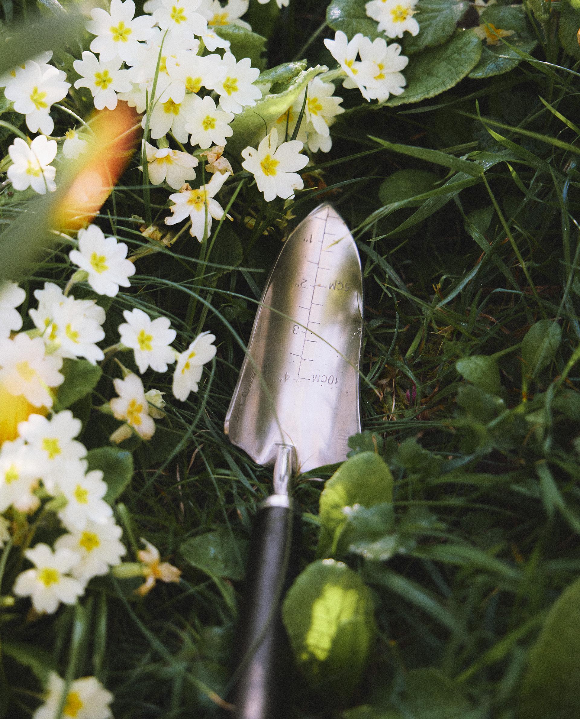 MAŁA ŁOPATKA OGRODOWA