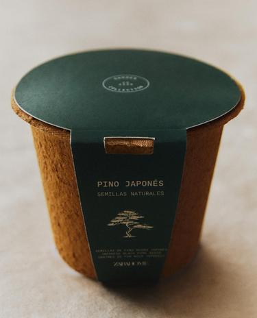 ZESTAW DO UPRAWY NASION SOSNY OGRODOWEJ